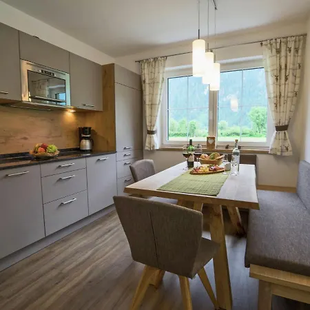 Apartment Flat Near The Area In Mayrhofen